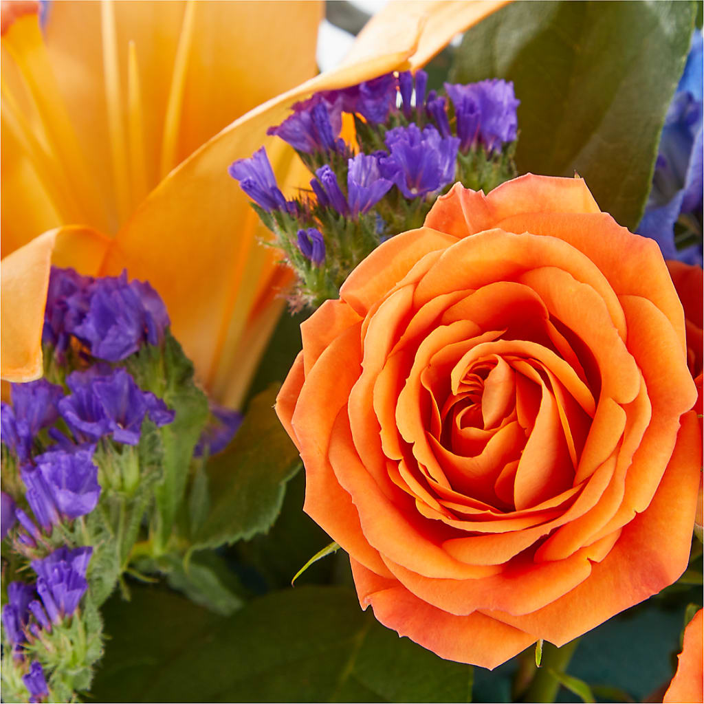 Radiant Citrus Box Bouquet – DANI' SWEET DELIGHTS, Las Vegas NV