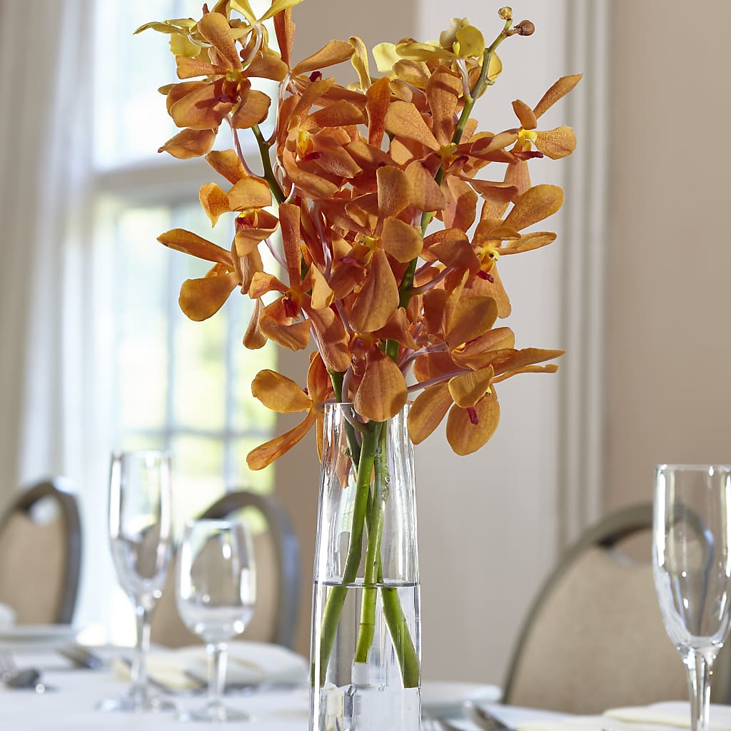 Orange Mokara Bud Vase – DANI' SWEET DELIGHTS, Las Vegas NV