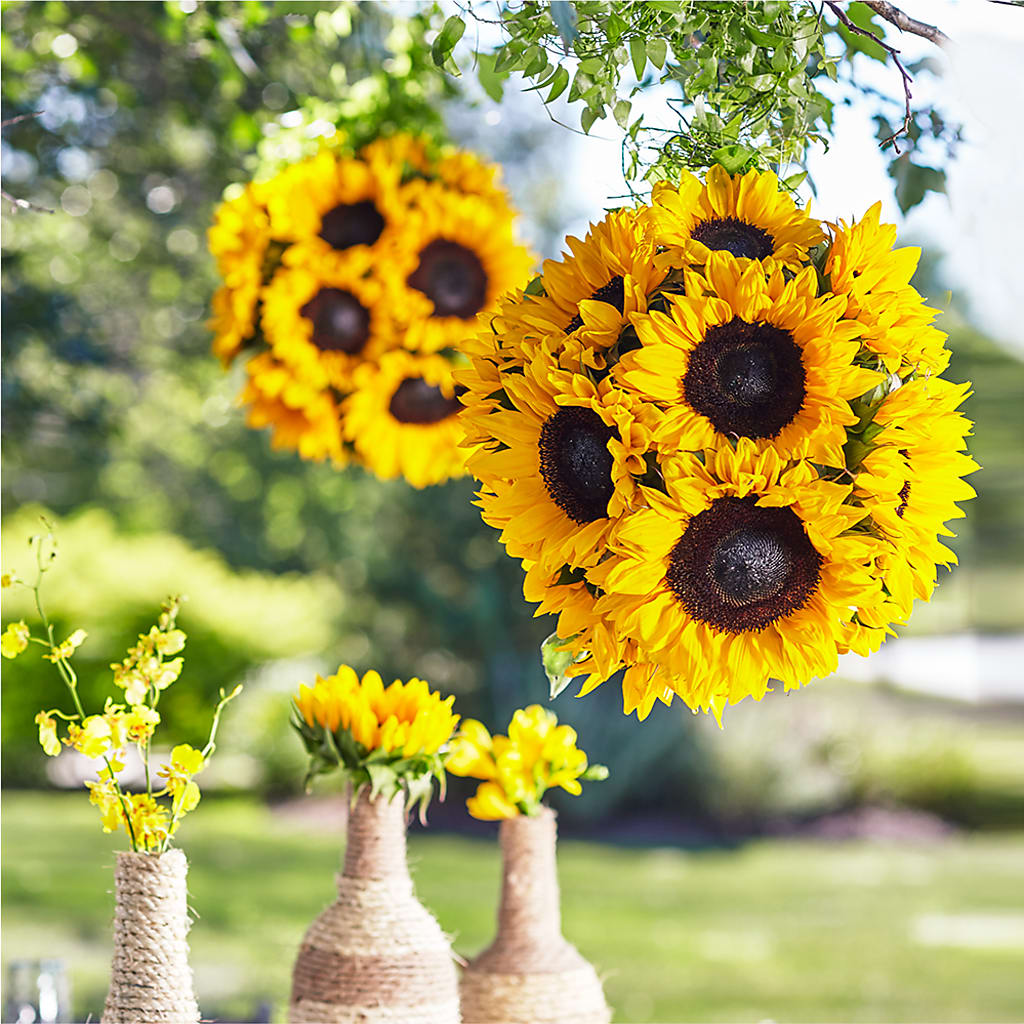 Sublime Garden Hanging Arrangement – DANI' SWEET DELIGHTS, Las Vegas NV