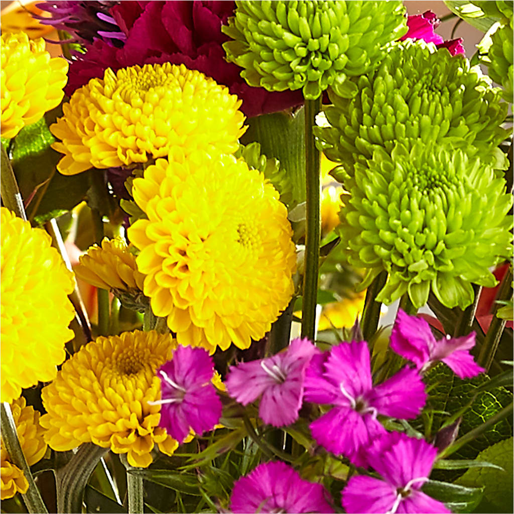 Bold & Bright – A Florist Original – DANI' SWEET DELIGHTS, Las Vegas NV