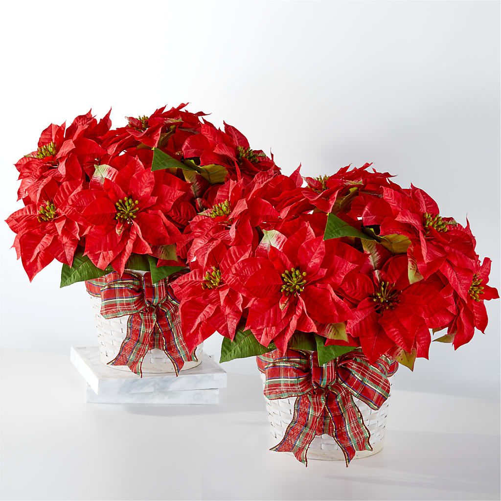 Happiest Holidays Poinsettia Bundle – DANI' SWEET DELIGHTS, Las Vegas NV