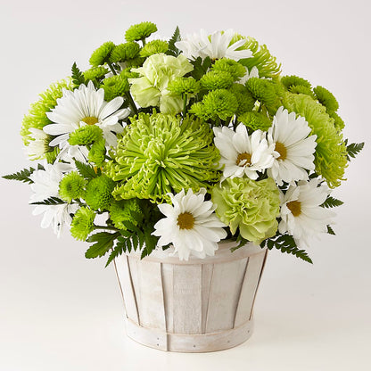 Lucky Charm Basket (Standard) – DANI' SWEET DELIGHTS, Las Vegas NV
