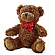 Adorable Plush Bear – DANI' SWEET DELIGHTS, Las Vegas NV