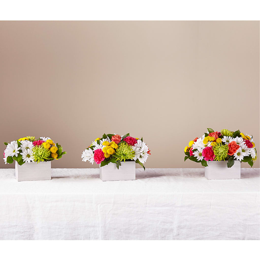 Sorbet Bouquet – DANI' SWEET DELIGHTS, Las Vegas NV