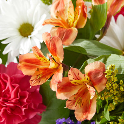 Oopsie Daisy Box Bouquet – DANI' SWEET DELIGHTS, Las Vegas NV