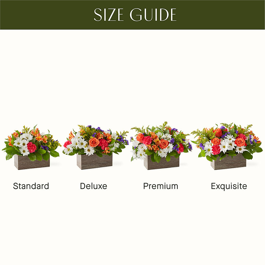 Oopsie Daisy Box Bouquet – DANI' SWEET DELIGHTS, Las Vegas NV