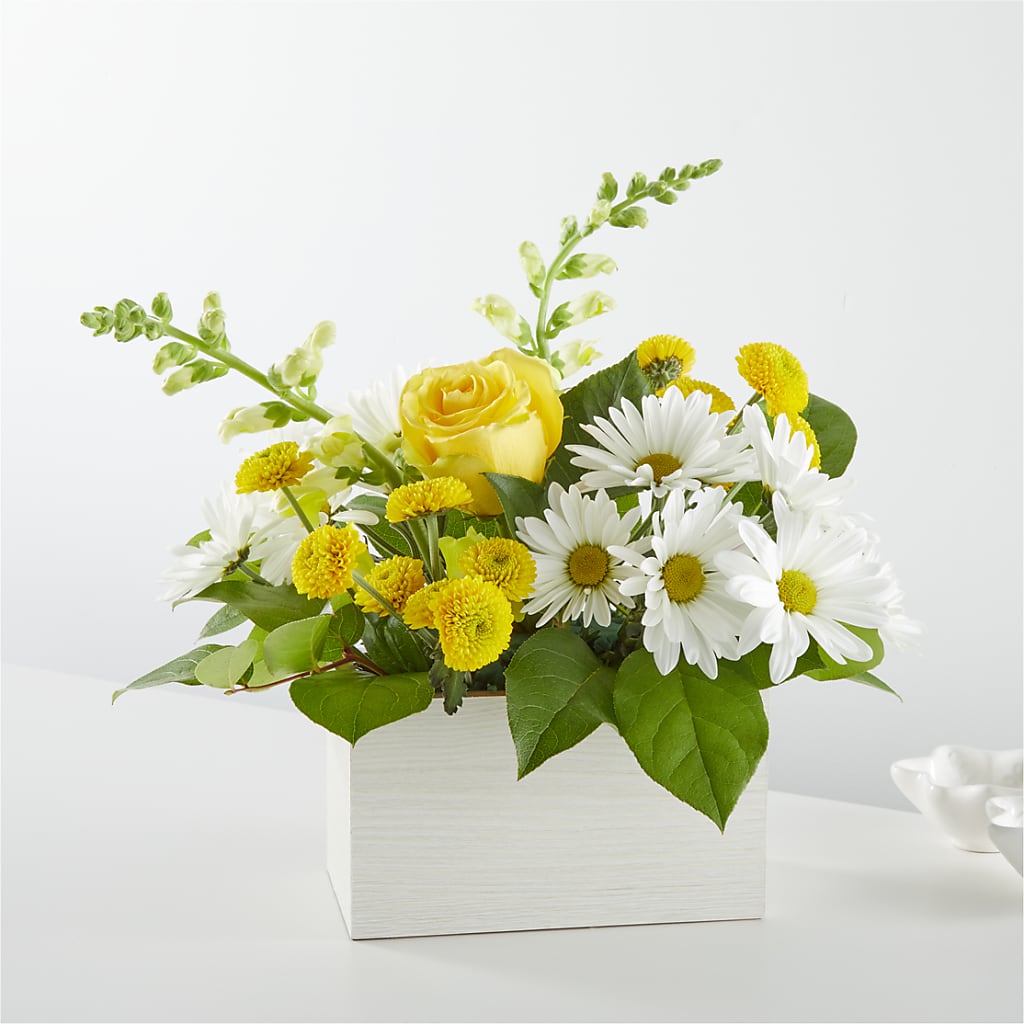 Sun Salutation Box Bouquet – DANI' SWEET DELIGHTS, Las Vegas NV