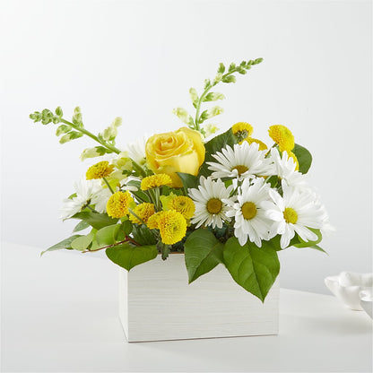 Sun Salutation Box Bouquet – DANI' SWEET DELIGHTS, Las Vegas NV