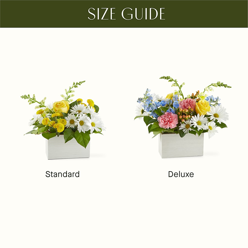 Sun Salutation Box Bouquet – DANI' SWEET DELIGHTS, Las Vegas NV