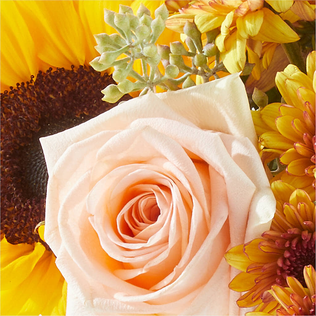 Pumpkin to Talk About Bouquet – DANI' SWEET DELIGHTS, Las Vegas NV