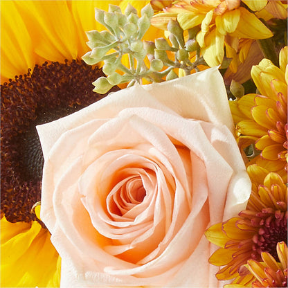 Pumpkin to Talk About Bouquet – DANI' SWEET DELIGHTS, Las Vegas NV