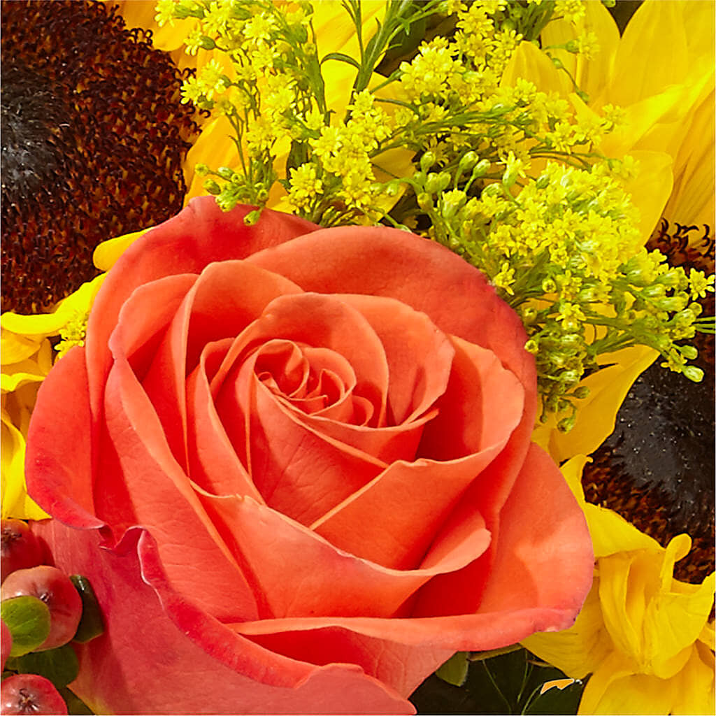 Pick of the Patch Pumpkin Bouquet – DANI' SWEET DELIGHTS, Las Vegas NV