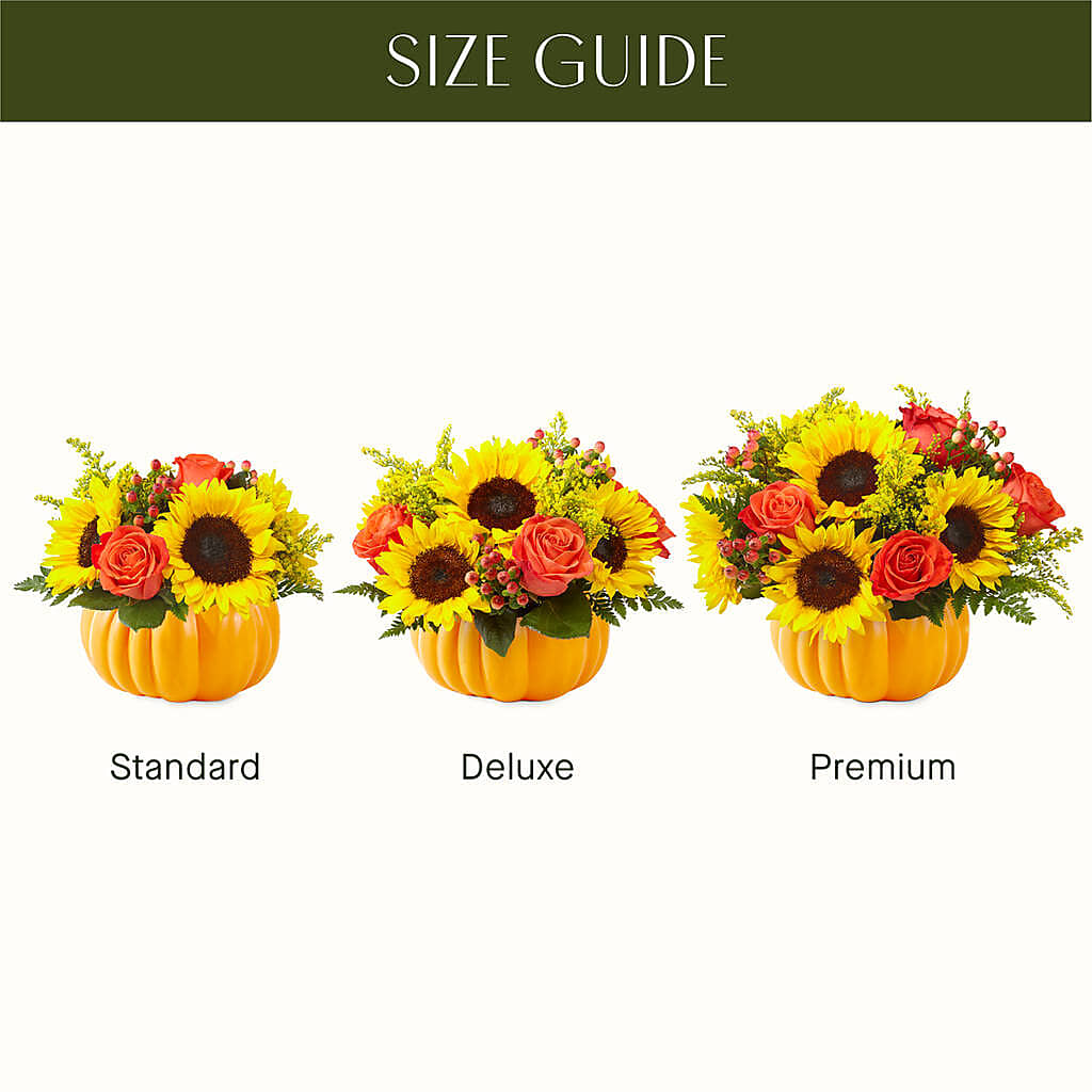 Pick of the Patch Pumpkin Bouquet – DANI' SWEET DELIGHTS, Las Vegas NV
