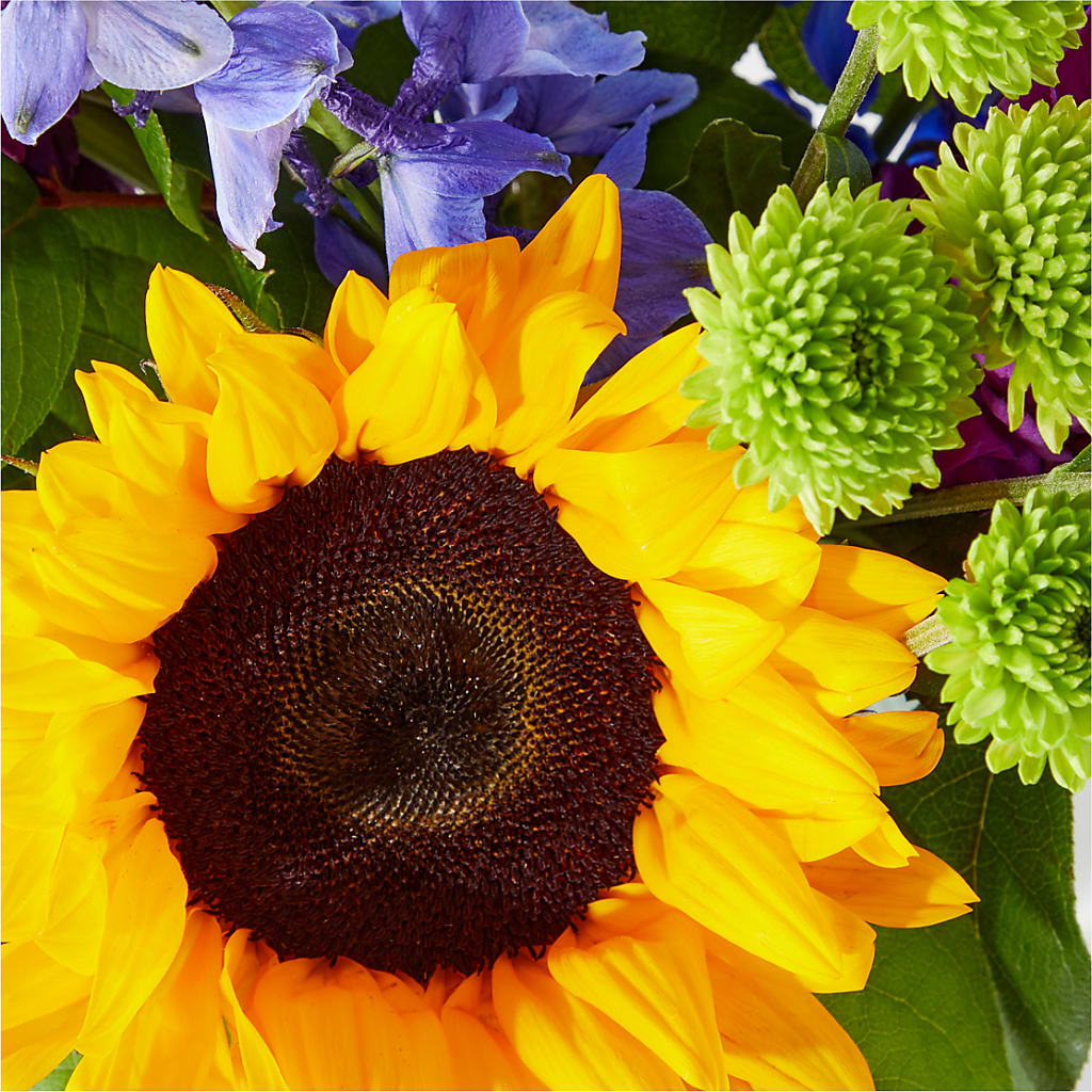 Catching Rays Bouquet – DANI' SWEET DELIGHTS, Las Vegas NV