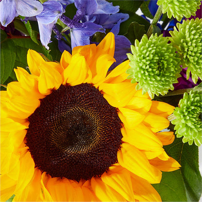 Catching Rays Bouquet – DANI' SWEET DELIGHTS, Las Vegas NV