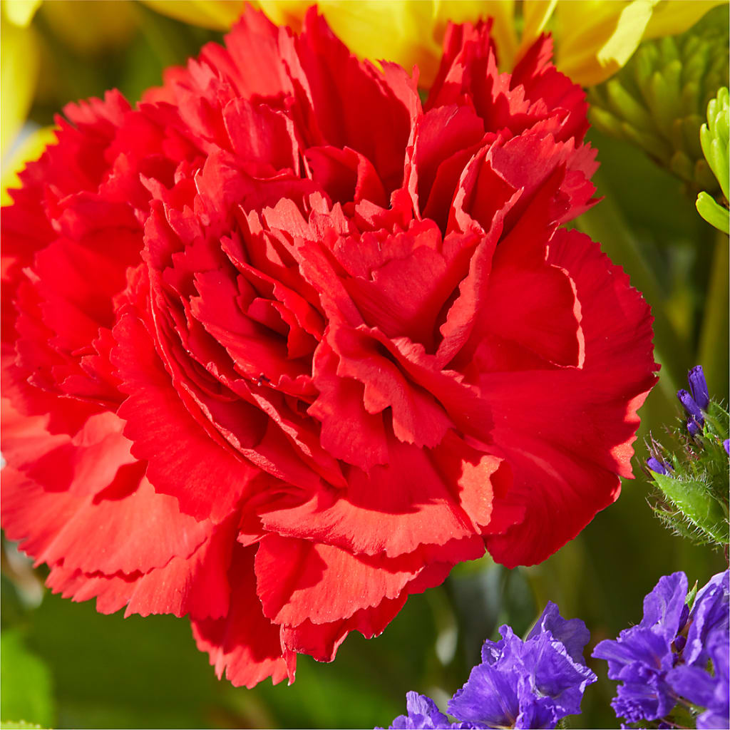 Brighter Days Bouquet – DANI' SWEET DELIGHTS, Las Vegas NV