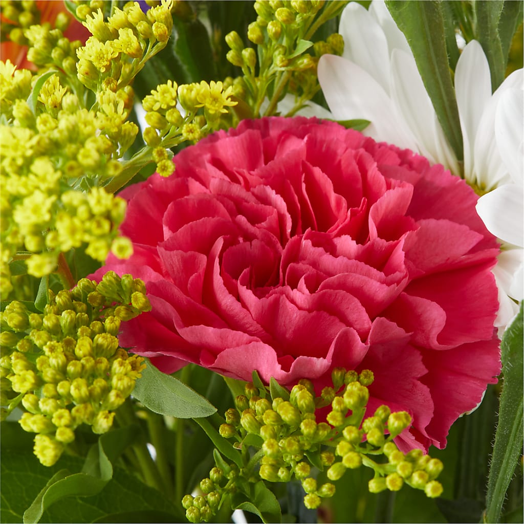 Oopsie Daisy Bouquet – DANI' SWEET DELIGHTS, Las Vegas NV