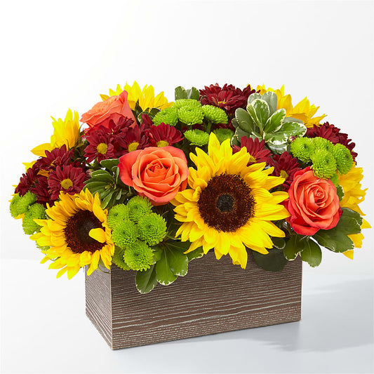 Happy Harvest Garden – DANI' SWEET DELIGHTS, Las Vegas NV