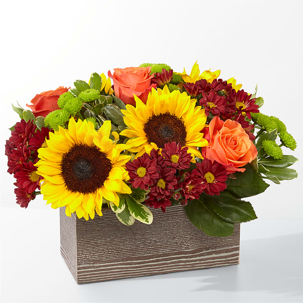 Happy Harvest Garden – DANI' SWEET DELIGHTS, Las Vegas NV