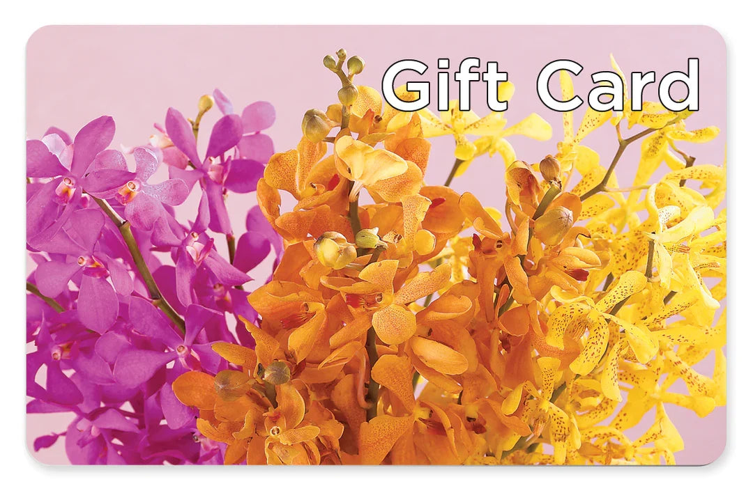 Gift Card – DANI' SWEET DELIGHTS, Las Vegas NV