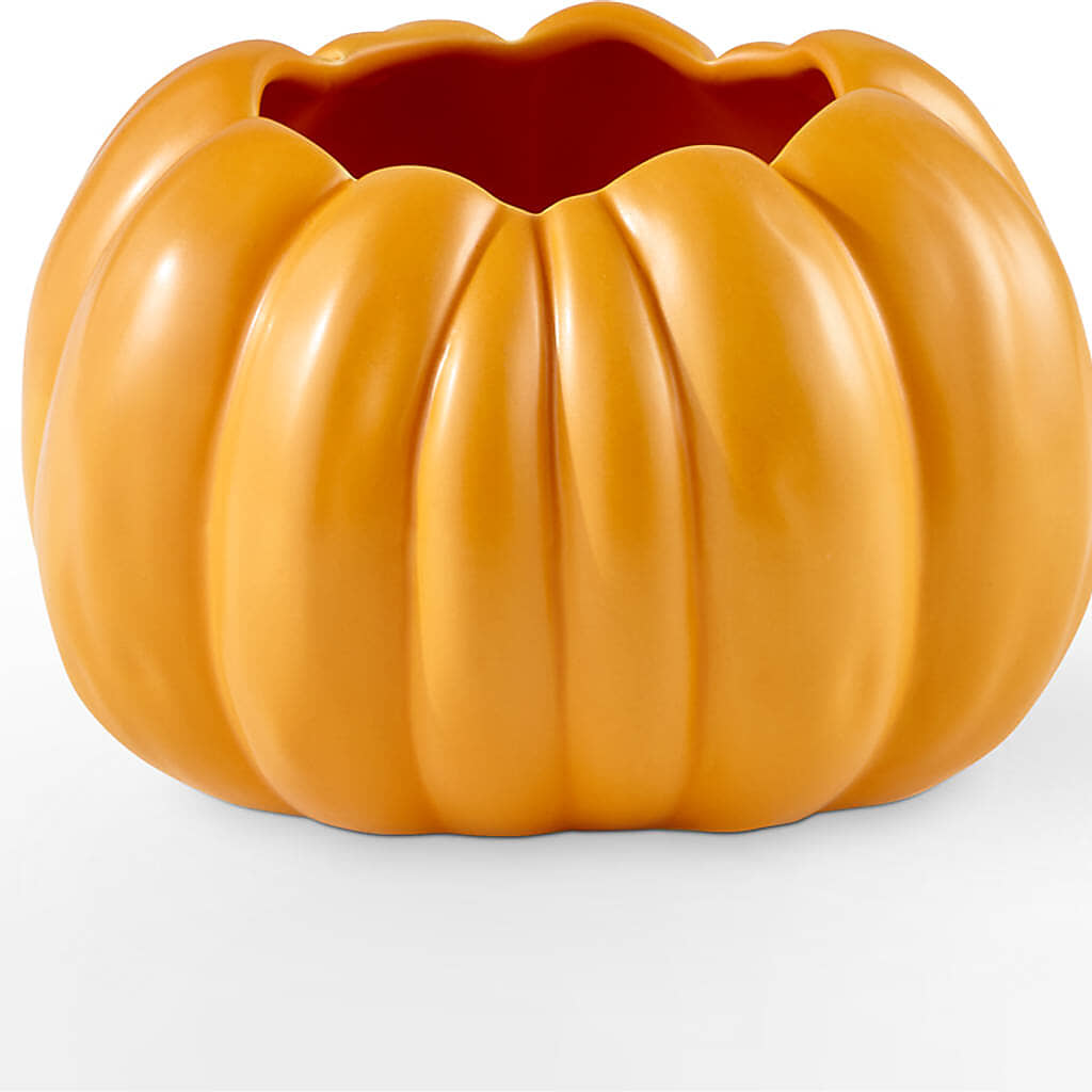 Pick of the Patch Pumpkin Bouquet – DANI' SWEET DELIGHTS, Las Vegas NV