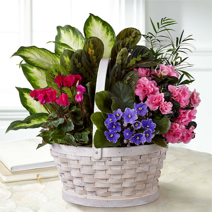 Peaceful Garden Planter – DANI' SWEET DELIGHTS, Las Vegas NV