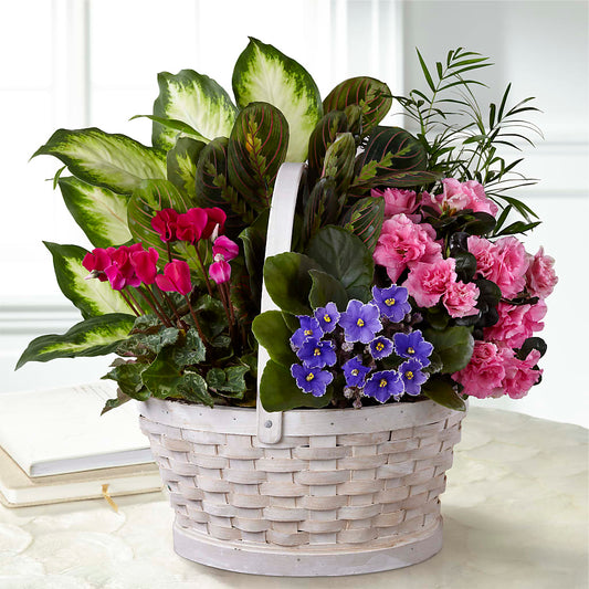 Peaceful Garden Planter – DANI' SWEET DELIGHTS, Las Vegas NV