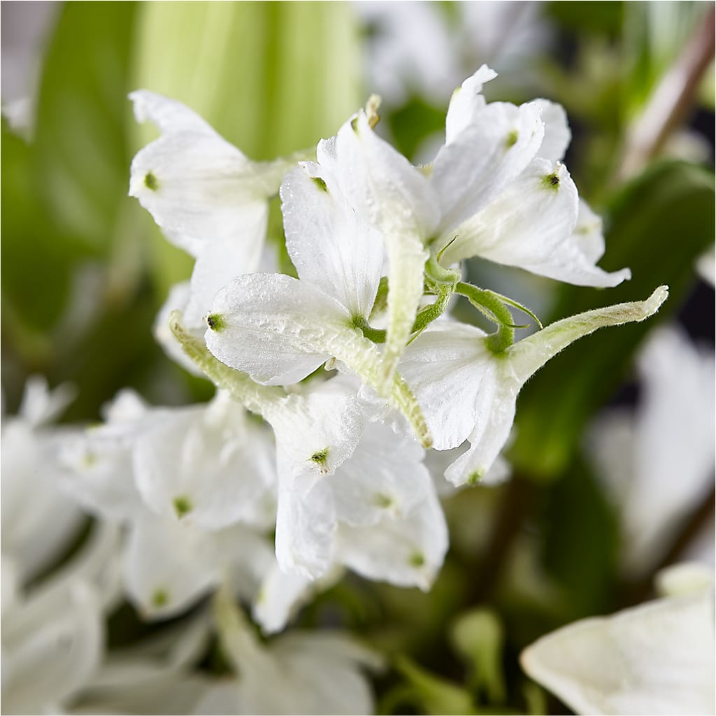 Classic Ivory – A Florist Original – DANI' SWEET DELIGHTS, Las Vegas NV