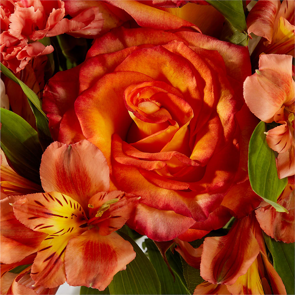 Apricot Glow Bouquet – DANI' SWEET DELIGHTS, Las Vegas NV