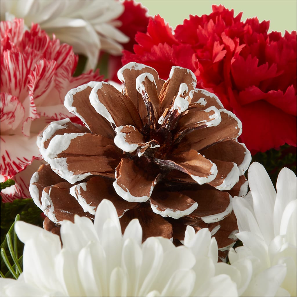 Candy Cane Lane Bouquet – DANI' SWEET DELIGHTS, Las Vegas NV