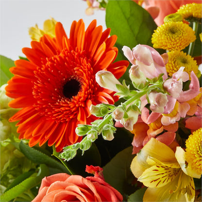 Autumn Sunshine Bouquet – DANI' SWEET DELIGHTS, Las Vegas NV