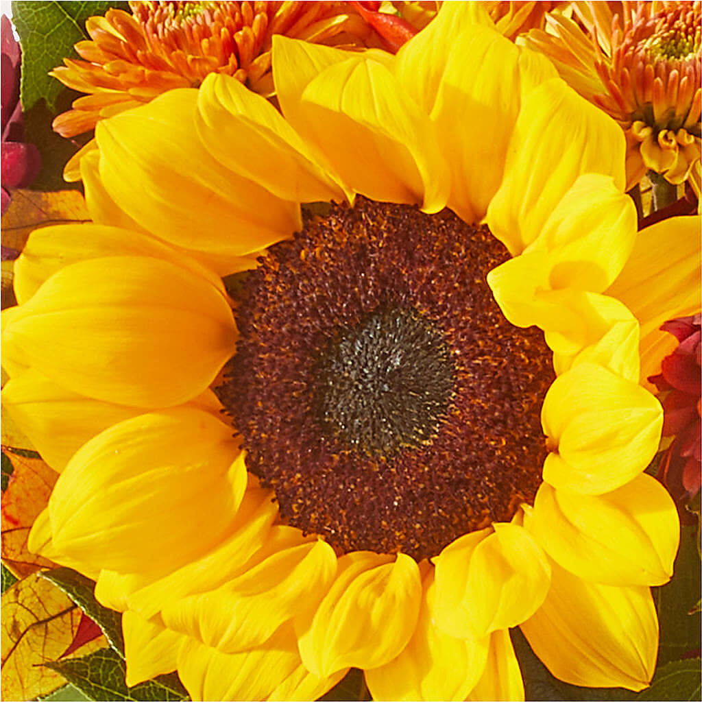 Sunny Side Bouquet – DANI' SWEET DELIGHTS, Las Vegas NV