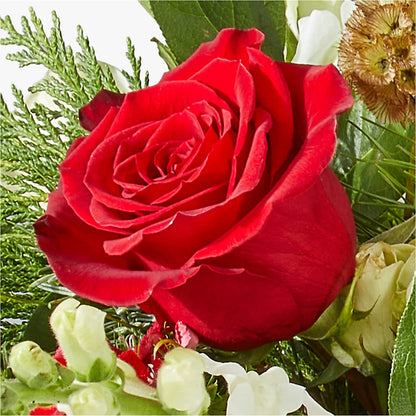 Deck the Halls Bouquet – DANI' SWEET DELIGHTS, Las Vegas NV