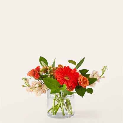 Paloma Please Bouquet – DANI' SWEET DELIGHTS, Las Vegas NV