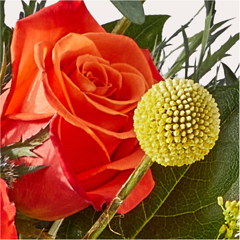 Disco Bouquet – DANI' SWEET DELIGHTS, Las Vegas NV
