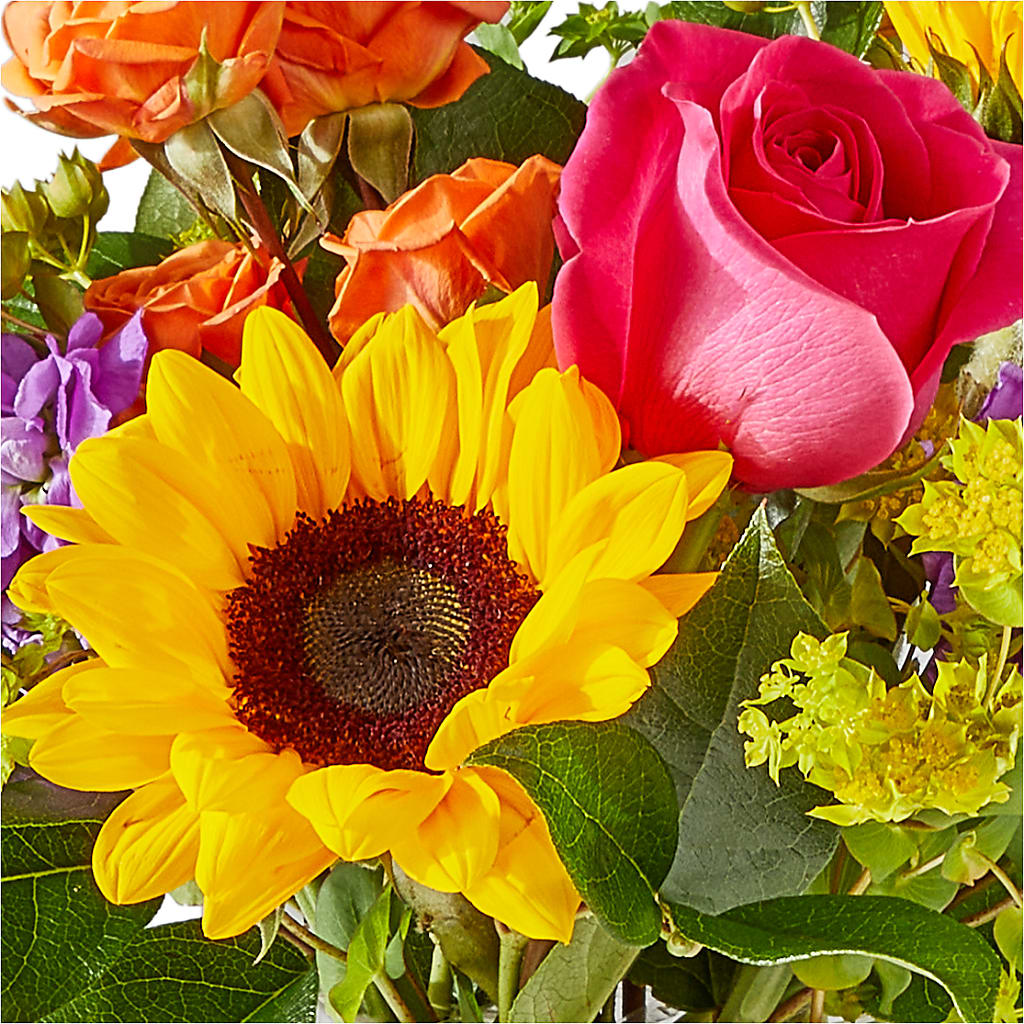 Vibrant Greetings Bouquet – DANI' SWEET DELIGHTS, Las Vegas NV