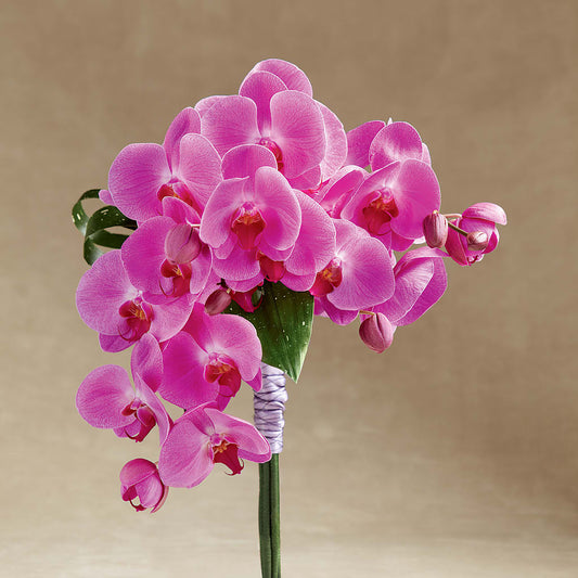 Glorious Bouquet – DANI' SWEET DELIGHTS, Las Vegas NV