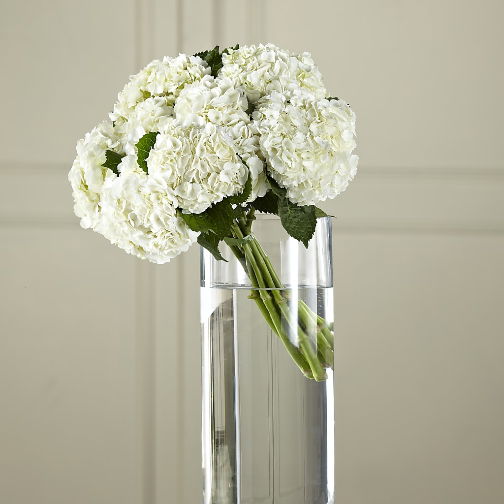 White Hydrangea Hand-Tied Bouquet – DANI' SWEET DELIGHTS, Las Vegas NV