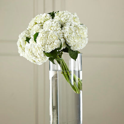 White Hydrangea Hand-Tied Bouquet – DANI' SWEET DELIGHTS, Las Vegas NV