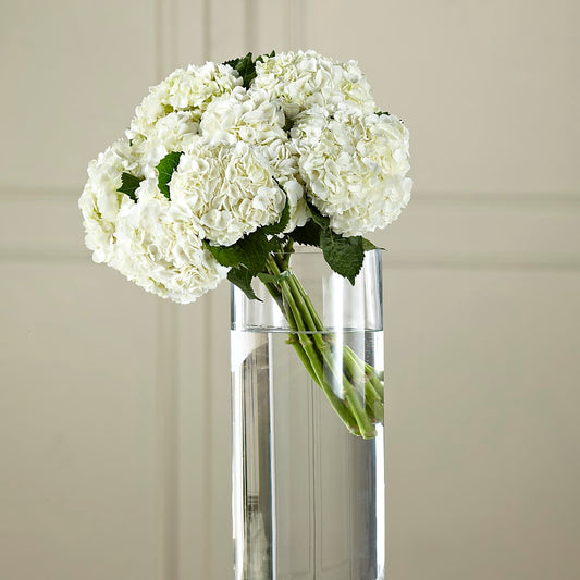 White Hydrangea Hand-Tied Bouquet – DANI' SWEET DELIGHTS, Las Vegas NV