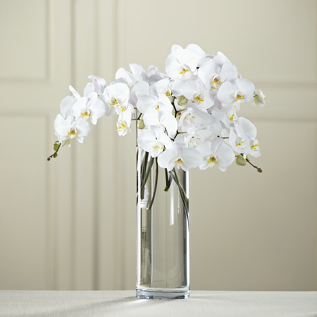 White Phalaenopsis Bouquet – DANI' SWEET DELIGHTS, Las Vegas NV