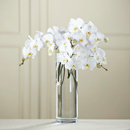 White Phalaenopsis Bouquet – DANI' SWEET DELIGHTS, Las Vegas NV